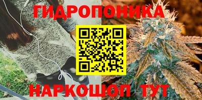 дмт Ярославль