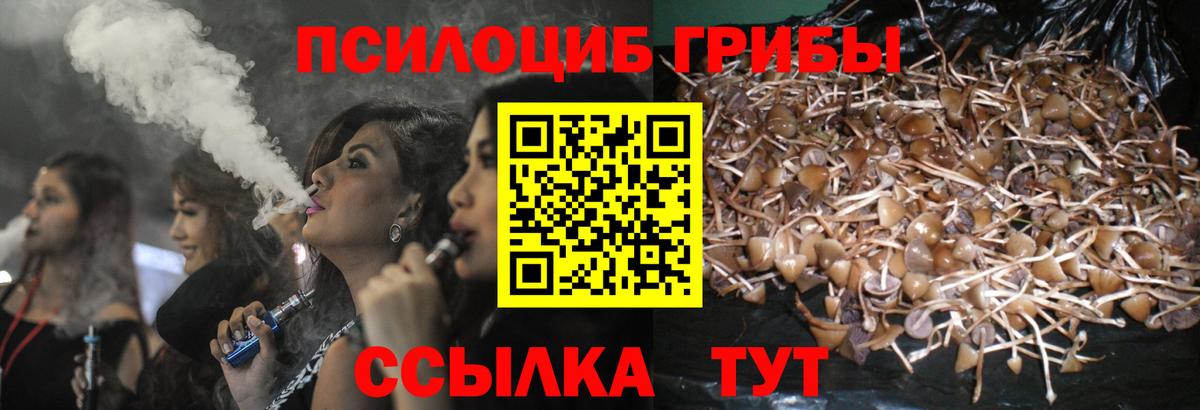 Борисоглебск  Псилоцибиновые грибы Psilocybe  Вход с VPN  Галлюциногенные грибы прущие грибы 